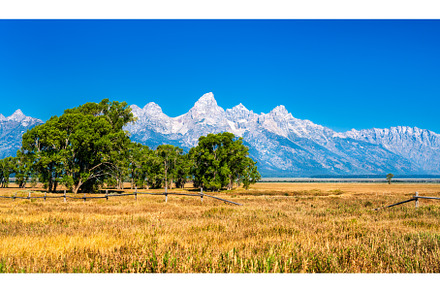 Grand Teton range behind grasslands