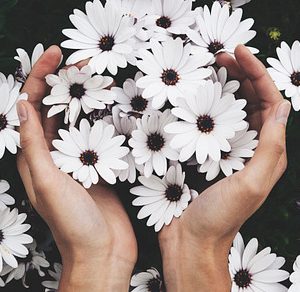 Female hands holding flowers featuring hands, green, and floral
