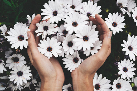 Female hands holding flowers featuring hands, green, and floral