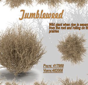 Tumbleweed