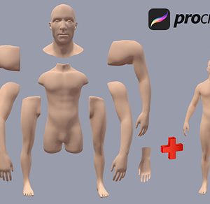 3D Model Male for Procreate App