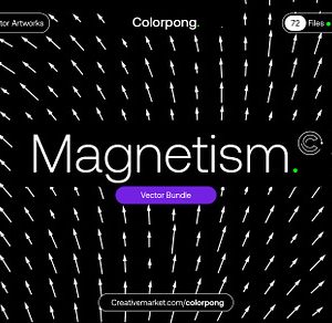 Magnetism - Vector Bundle