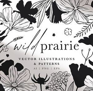 Wild Prairie Patterns & Graphics