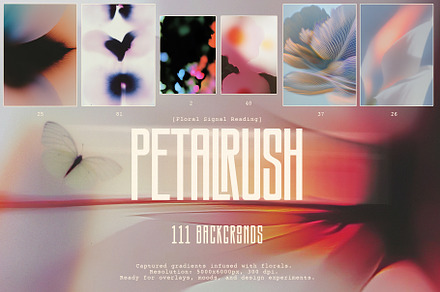 PETALRUSH: Floral Backgrounds