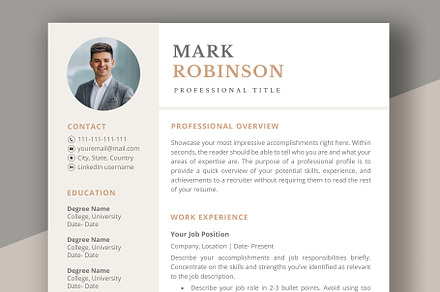 Professional CV template/ resume