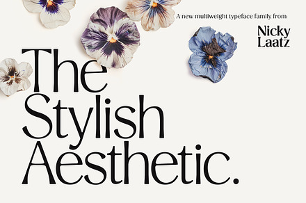 Stylish Aesthetic Typeface