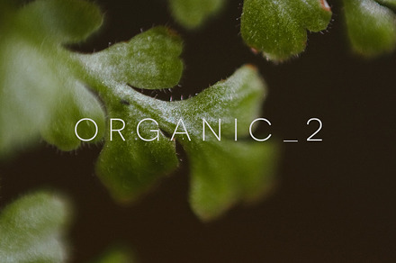 Organic 2 | 20 Botanical Photos