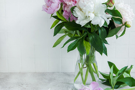 Beautiful bouquet of flowers: white and pink peonies
